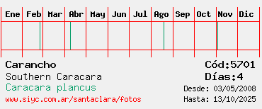 Estadisticas Estadisticas