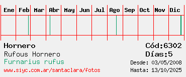 Estadisticas Estadisticas