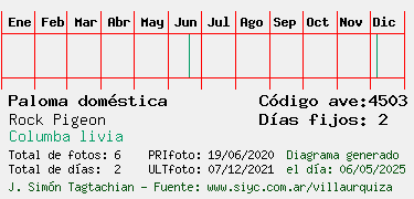Estadisticas