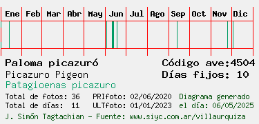 Estadisticas