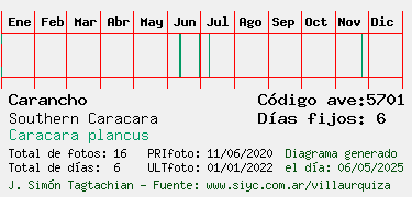 Estadisticas
