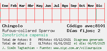 Estadisticas