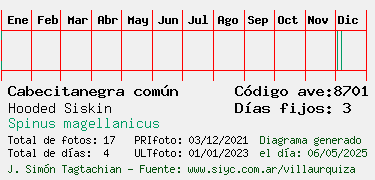 Estadisticas